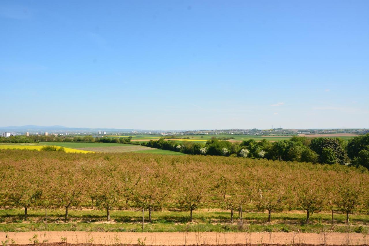 Weingut Bugner Meizelhof Klein-Winternheim Exterior foto