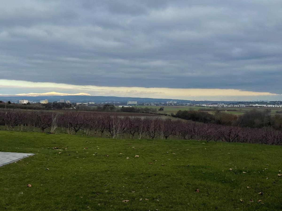Weingut Bugner Meizelhof Klein-Winternheim Exterior foto